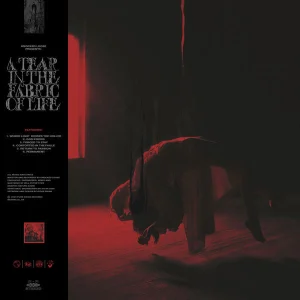 A Tear In The Fabric Of Life cover art