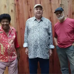Donato E Seu Trio*