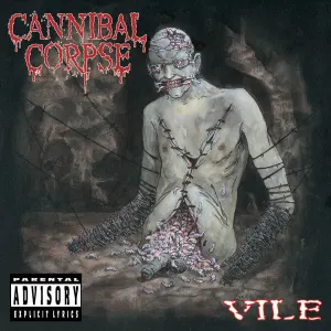 Vile cover art