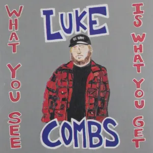What You See Is What You Get cover art