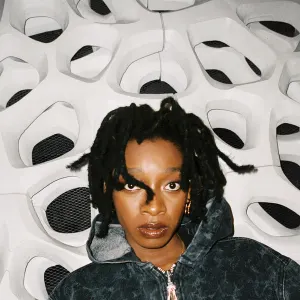 No Thank You cover art