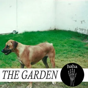 Haha cover art