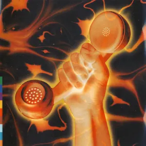 Secret World Live cover art