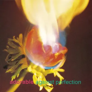 Against Perfection cover art