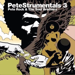 PeteStrumentals 3 cover art