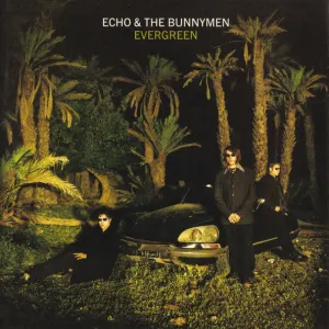 Evergreen cover art