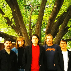 The Murlocs