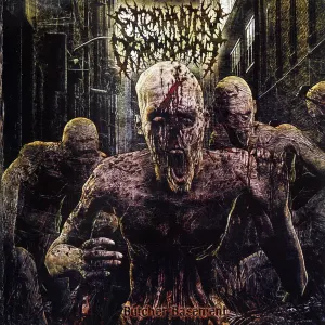 Butcher Basement cover art