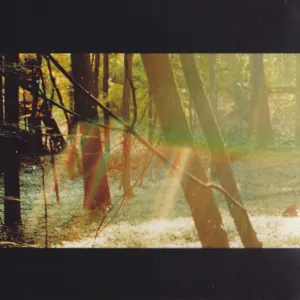Camp cover art