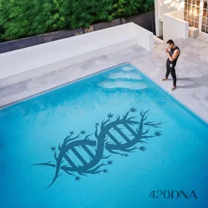 420DNA cover art