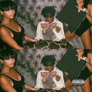 Playboi Carti cover art