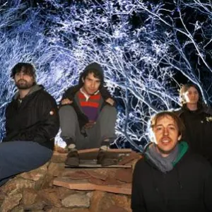 Animal Collective