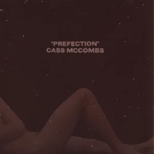 Prefection cover art