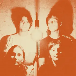 Levity cover art