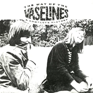 The Way Of The Vaselines cover art