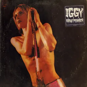 Raw Power cover art