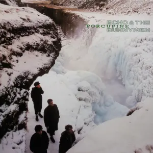 Porcupine cover art