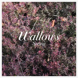 Spring cover art