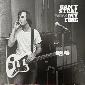 Can’t Steal My Fire: The Songs Of David Olney cover art