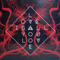 Love Is All You Love cover art