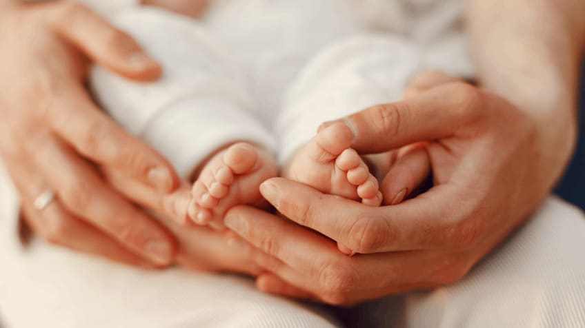 Egg Quality for IVF Success