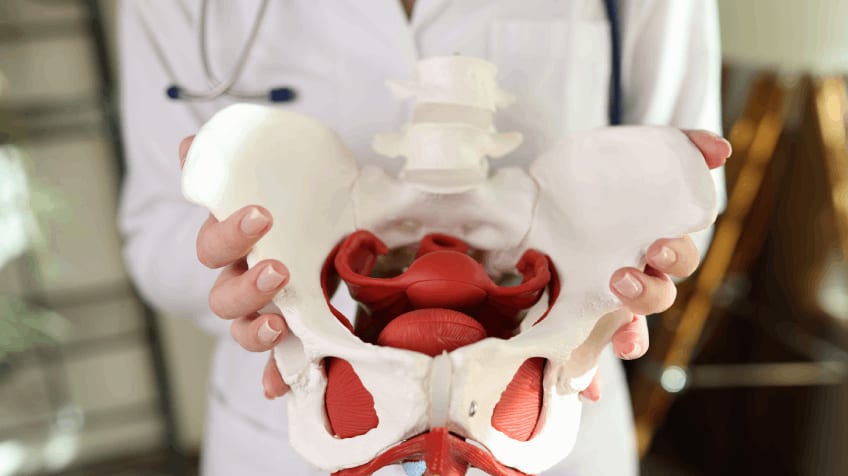 Pelvic Girdle Pain in Pregnancy