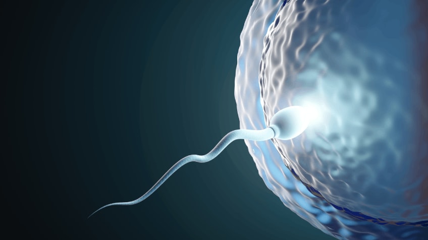 Best IVF Center Near Me