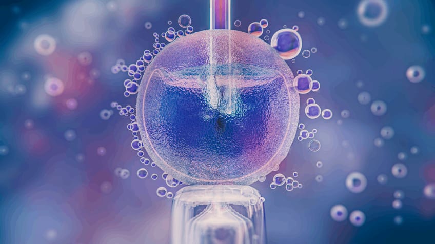Egg Freezing