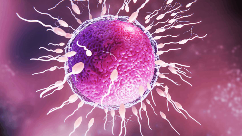 Why IVF Fails