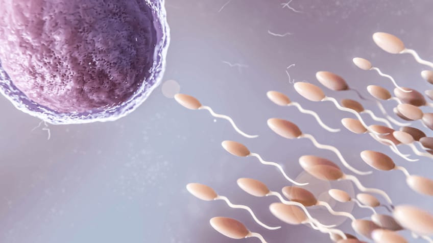 IVF vs IUI