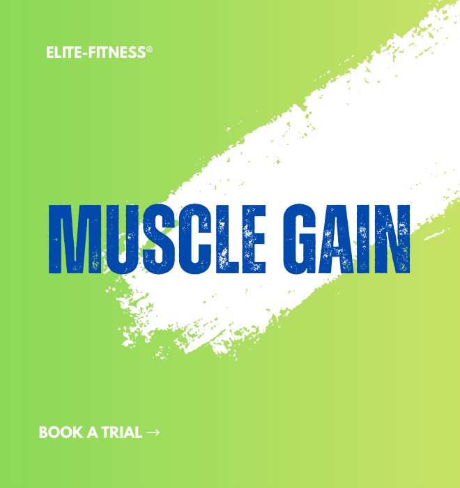 elite-fitness-muscle-gain