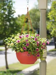 Self-Watering Hanging Planter