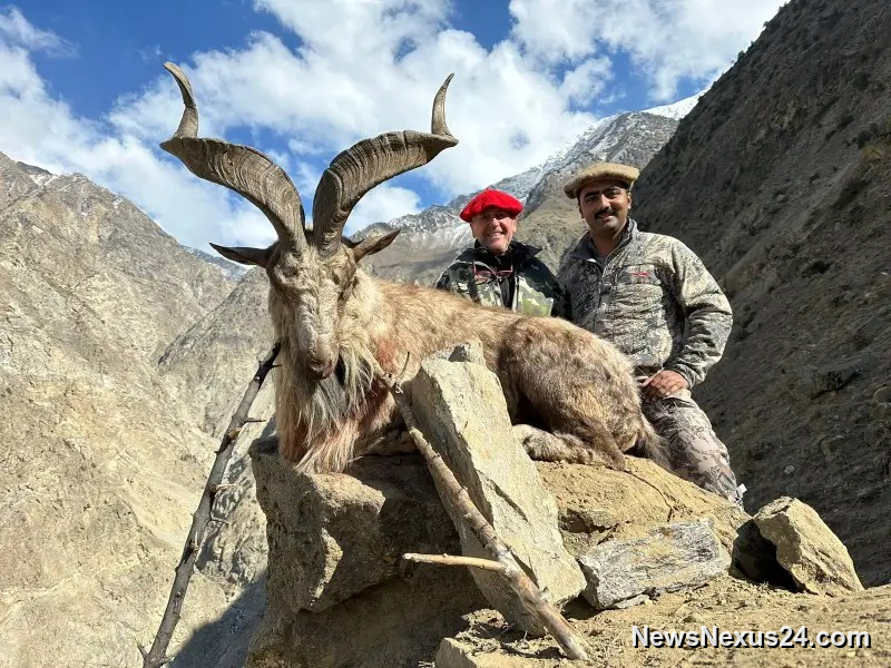 GB to Auction Markhor, Blue Sheep and Ibex Hunting Permits
