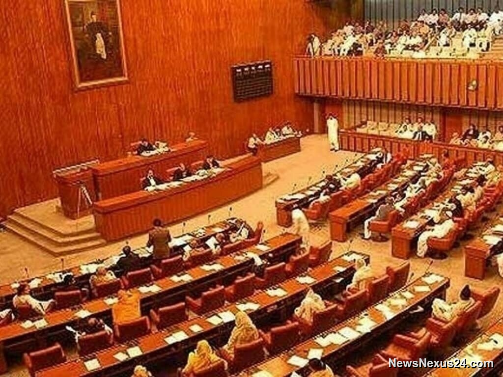 Senate Demands Time-Bound Inquiry Into PIMS Fire That Killed 14 Babies