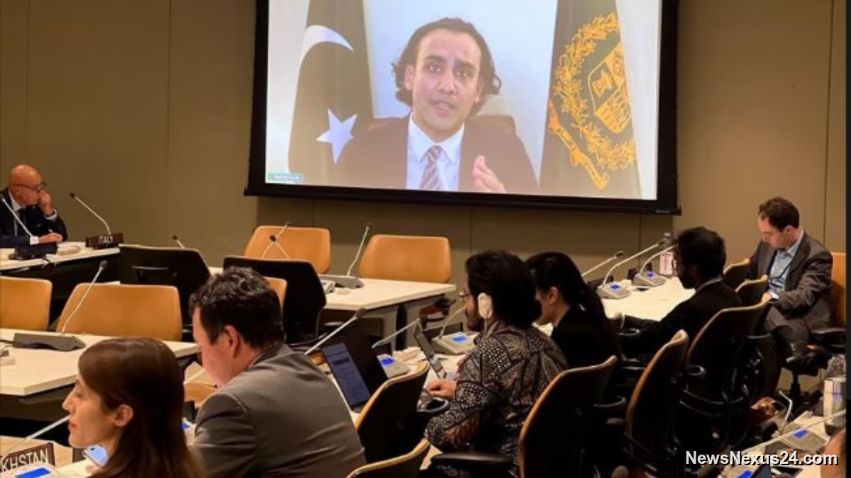 Pakistan Calls for Global Digital Asset Rules at UN Briefing