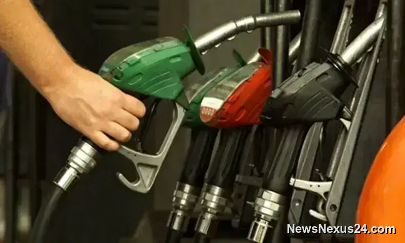 Petrol Rises to Rs391.30 as Diesel Drops to Rs408.53
