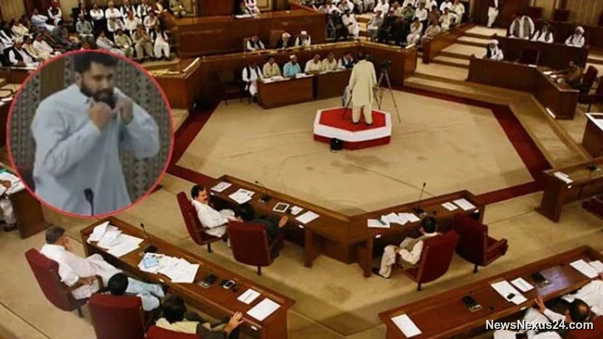 Balochistan MPA Throws Passport In Assembly After Airport Detention