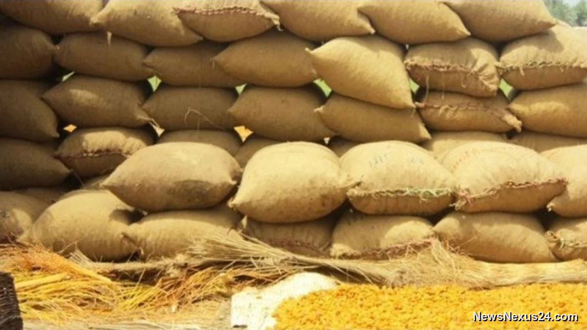 Pakistan Seeks Provincial Input On Wheat Support Price