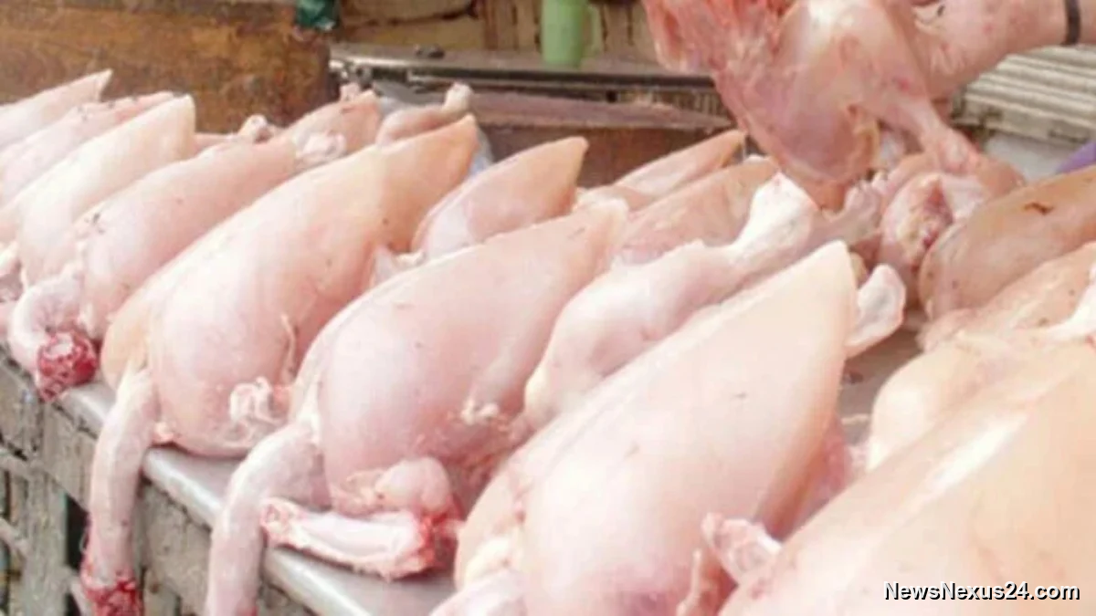 Karachi Chicken Prices Climb to Rs690 per Kilogram