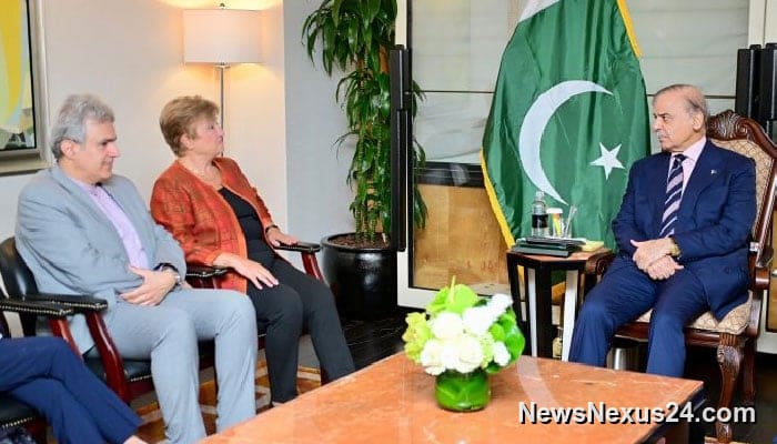 Shehbaz asks IMF to factor flood losses into next review