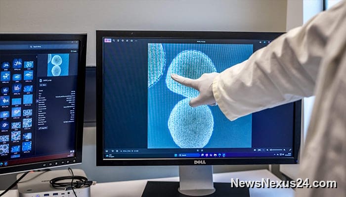 Human mini-brains show ‘wetware’ computing promise in Swiss lab