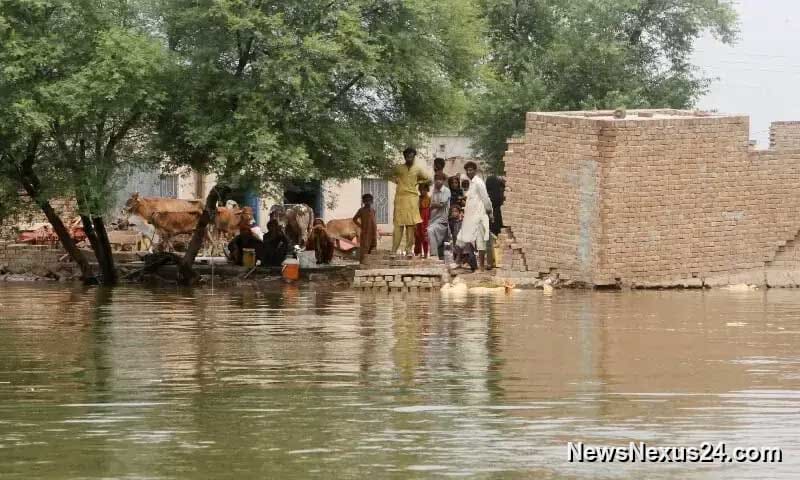 Japan commits $2m for Pakistan climate relief and recovery