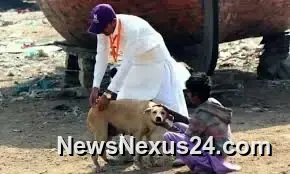 Karachi rabies death exposes gaps in dog-bite treatment system