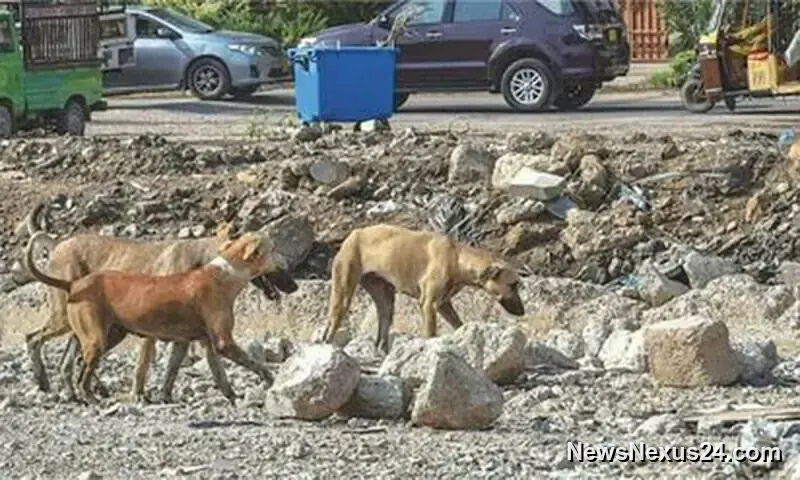 Sindh Launches Rabies Drive After 85,000 Dog-Bite Cases