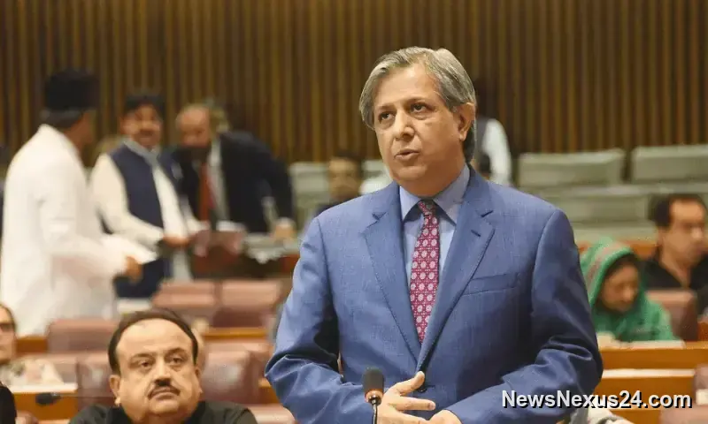 Telecom Bill Review Seeks Balance Between Connectivity and Rights