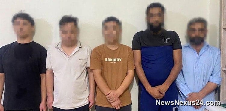 FIA Busts Islamabad Human Placenta Smuggling Network