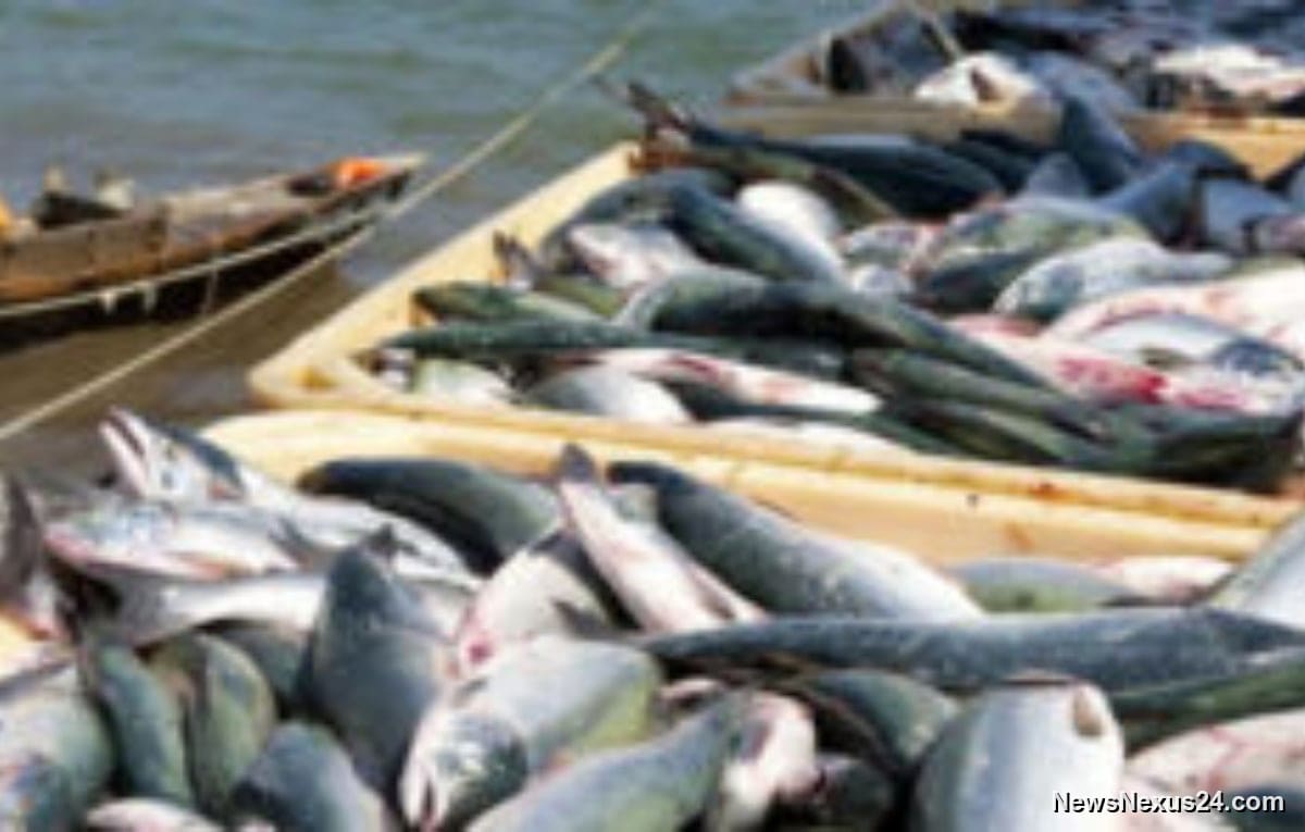 Pakistan Seafood Exports Reach Record $568m in FY2025-26