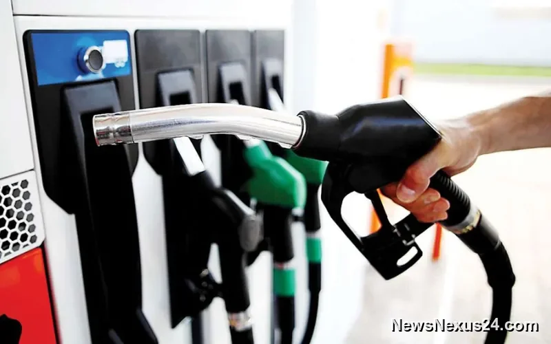 Govt Keeps Petrol, Diesel Prices Unchanged for August 11