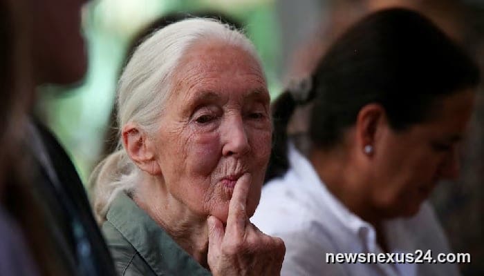 Global tributes pour in for Jane Goodall, 91