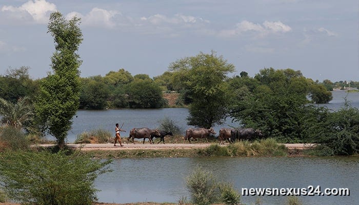 Pakistan, IMF to reset budget targets after flood losses